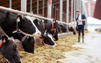 “Precision Nutrition: Key to Sustainable Animal Protein Production”